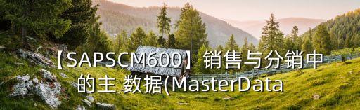【SAPSCM600】銷售與分銷中的主 數(shù)據(jù)(MasterData
