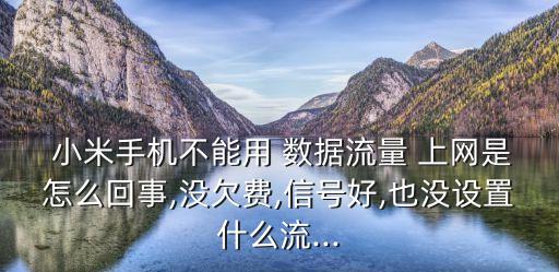  小米手機(jī)不能用 數(shù)據(jù)流量 上網(wǎng)是怎么回事,沒(méi)欠費(fèi),信號(hào)好,也沒(méi)設(shè)置什么流...