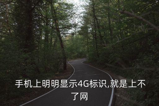 手機開4g 開數(shù)據(jù) 沒網(wǎng)絡(luò)是怎么回事啊