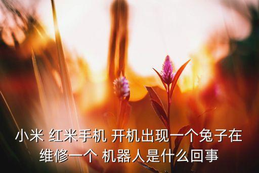 小米 紅米手機(jī) 開(kāi)機(jī)出現(xiàn)一個(gè)兔子在維修一個(gè) 機(jī)器人是什么回事
