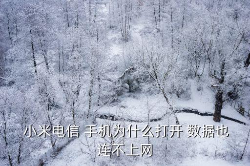  小米電信 手機為什么打開 數(shù)據(jù)也連不上網(wǎng)