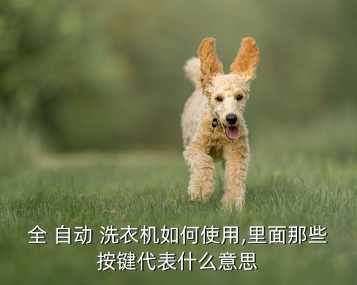 全 自動 洗衣機(jī)如何使用,里面那些按鍵代表什么意思