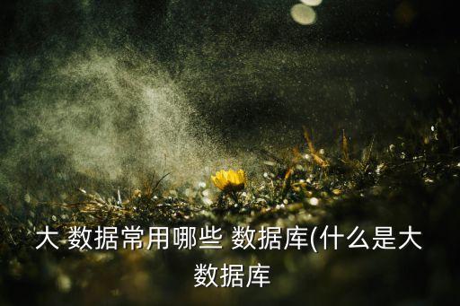 大 數(shù)據(jù)常用哪些 數(shù)據(jù)庫(kù)(什么是大 數(shù)據(jù)庫(kù)