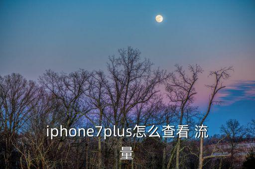 iphone7plus怎么查看 流量