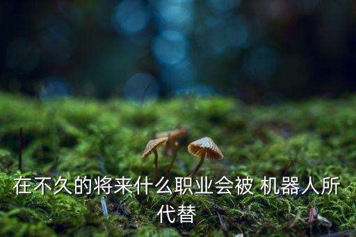 在不久的將來什么職業(yè)會被 機(jī)器人所代替