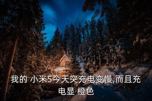 小米數(shù)據(jù)線有橙色嗎,小米原裝數(shù)據(jù)線是橙色的嗎