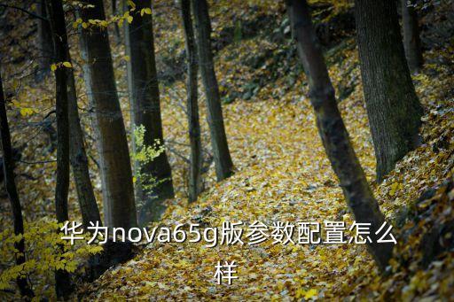  華為nova65g版參數(shù)配置怎么樣