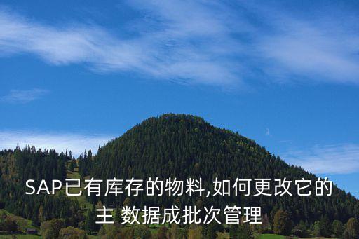 SAP已有庫存的物料,如何更改它的主 數(shù)據(jù)成批次管理