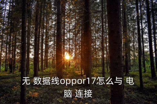 無 數(shù)據(jù)線oppor17怎么與 電腦 連接