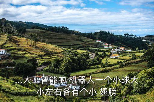 ...人工智能的 機(jī)器人一個(gè)小球大小左右各有個(gè)小 翅膀