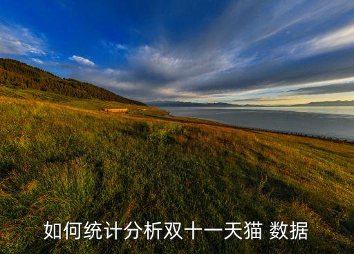 唯品會的銷售數(shù)據(jù),單品銷售數(shù)據(jù)統(tǒng)計表
