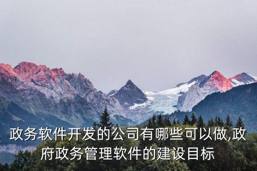政務(wù)軟件開發(fā)的公司有哪些可以做,政府政務(wù)管理軟件的建設(shè)目標(biāo)