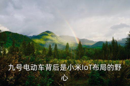 九號(hào)電動(dòng)車背后是小米IoT布局的野心