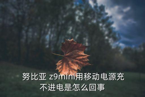 努比亞z9mini數(shù)據(jù)線