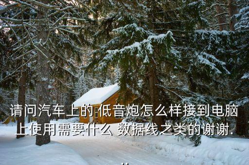 請(qǐng)問汽車上的 低音炮怎么樣接到電腦上使用需要什么 數(shù)據(jù)線之類的謝謝...