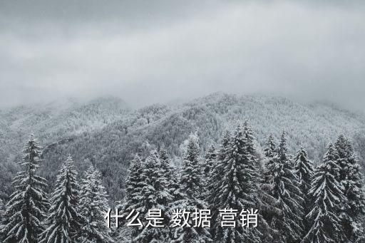 什么是 數(shù)據(jù) 營銷