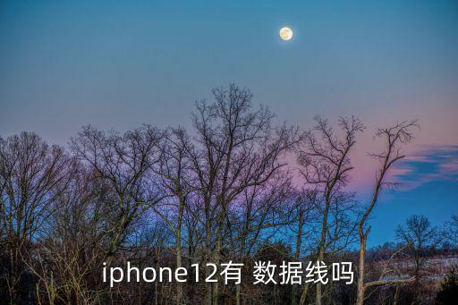 iphone12有 數(shù)據(jù)線嗎