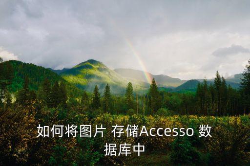 如何將圖片 存儲(chǔ)Accesso 數(shù)據(jù)庫(kù)中