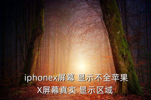 iphonex數(shù)據(jù)顯示