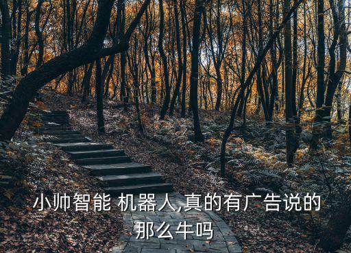  小帥智能 機器人,真的有廣告說的那么牛嗎