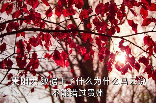 貴陽大 數(shù)據(jù)干了什么為什么馬云說不能錯過貴州