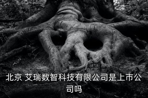 北京 艾瑞數(shù)智科技有限公司是上市公司嗎