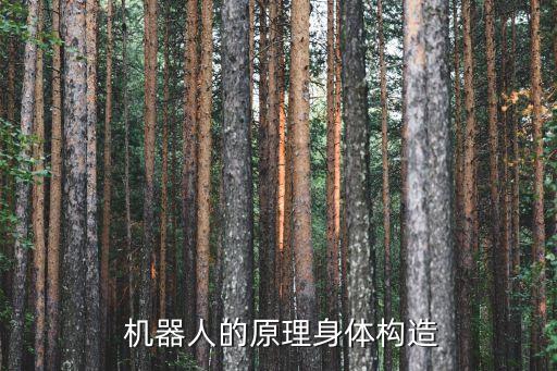  機(jī)器人的原理身體構(gòu)造