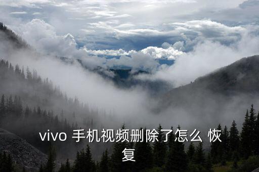  vivo 手機(jī)視頻刪除了怎么 恢復(fù)