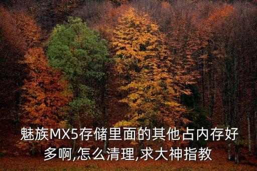 魅族mx5無法清除數(shù)據(jù)嗎