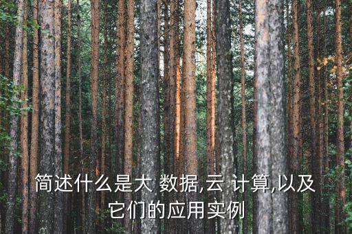 簡述什么是大 數據,云 計算,以及它們的應用實例