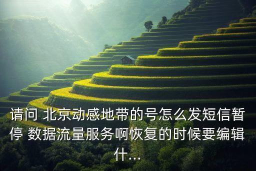 請問 北京動感地帶的號怎么發(fā)短信暫停 數據流量服務啊恢復的時候要編輯什...