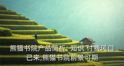 大數(shù)據(jù)分析報(bào)告 知識(shí)付費(fèi)