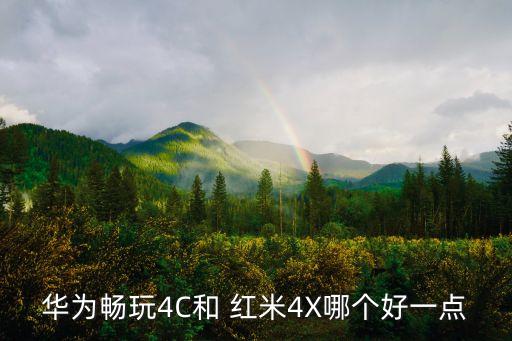 紅米4x數(shù)據(jù)線多長,紅米note10pro數(shù)據(jù)線多長