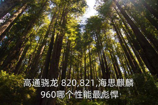 820 960哪個數(shù)據(jù)處理好