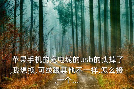 蘋果數(shù)據(jù)線USB插口怎么拆,蘋果13數(shù)據(jù)線插口