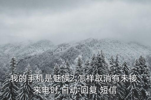 我的手機(jī)是魅族2,怎樣取消有未接 來電時(shí) 自動(dòng) 回復(fù) 短信