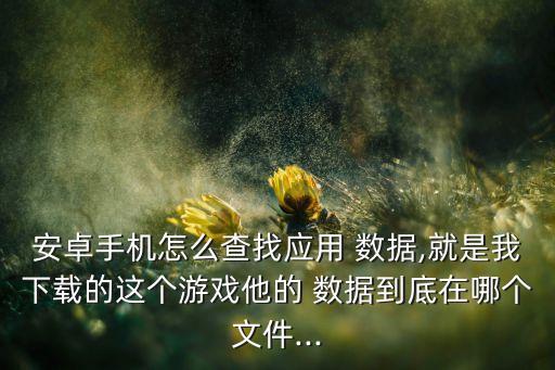 安卓手機(jī)怎么查找應(yīng)用 數(shù)據(jù),就是我下載的這個(gè)游戲他的 數(shù)據(jù)到底在哪個(gè)文件...