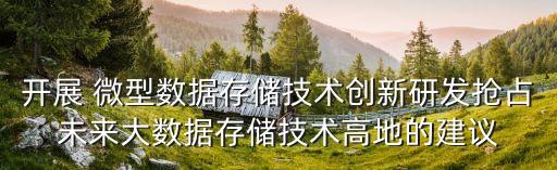 開展 微型數(shù)據(jù)存儲技術(shù)創(chuàng)新研發(fā)搶占未來大數(shù)據(jù)存儲技術(shù)高地的建議