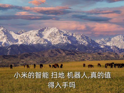  小米的智能 掃地 機(jī)器人,真的值得入手嗎