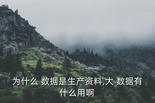 為什么 數(shù)據(jù)是生產(chǎn)資料,大 數(shù)據(jù)有什么用啊