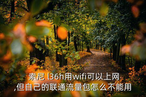  索尼 l36h用wifi可以上網(wǎng),但自己的聯(lián)通流量包怎么不能用