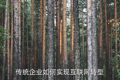 傳統(tǒng)企業(yè)如何實現(xiàn)互聯(lián)網(wǎng)轉(zhuǎn)型
