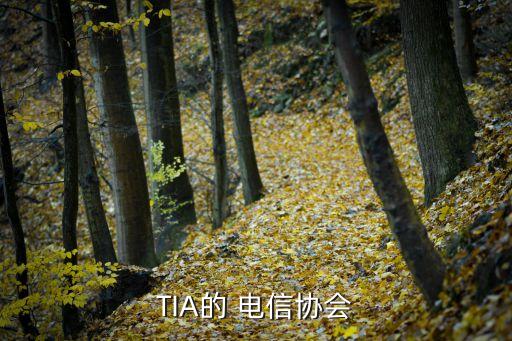 tia eia942 數(shù)據(jù)中心電信基礎