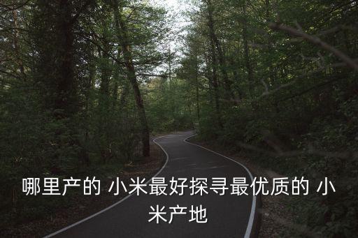 哪里產(chǎn)的 小米最好探尋最優(yōu)質(zhì)的 小米產(chǎn)地