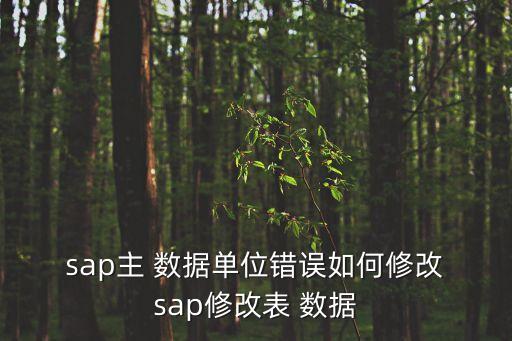 sap數(shù)據(jù),SAP數(shù)據(jù)庫(kù)