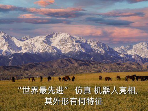 “世界最先進(jìn)” 仿真 機(jī)器人亮相,其外形有何特征
