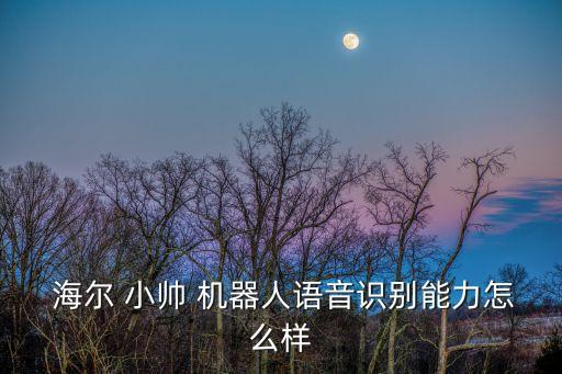 海爾小帥機(jī)器人是真嗎