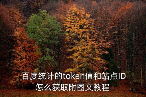  百度統(tǒng)計(jì)的token值和站點(diǎn)ID怎么獲取附圖文教程