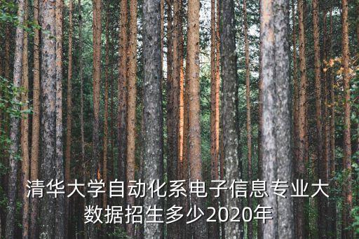  清華大學(xué)自動(dòng)化系電子信息專(zhuān)業(yè)大 數(shù)據(jù)招生多少2020年