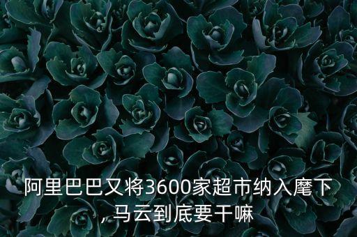 阿里巴巴又將3600家超市納入麾下, 馬云到底要干嘛